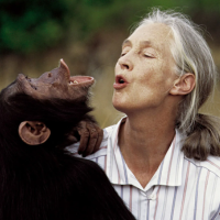 Jane Goodall