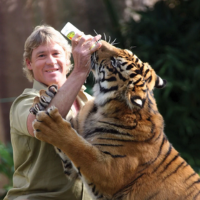 Steve Irwin
